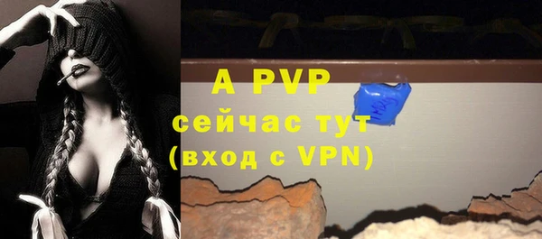 гашик Абаза
