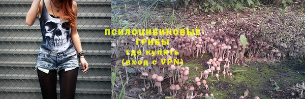 стаф Сосновый Бор
