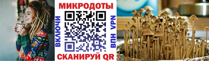 Галлюциногенные грибы мухоморы  Эртиль 